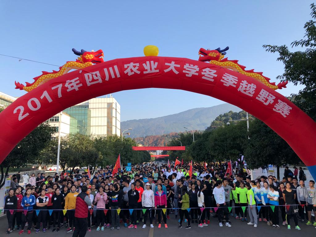 Bevictor伟德核心通道图片