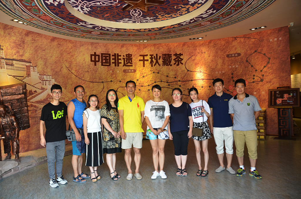 Bevictor伟德安全通道图片