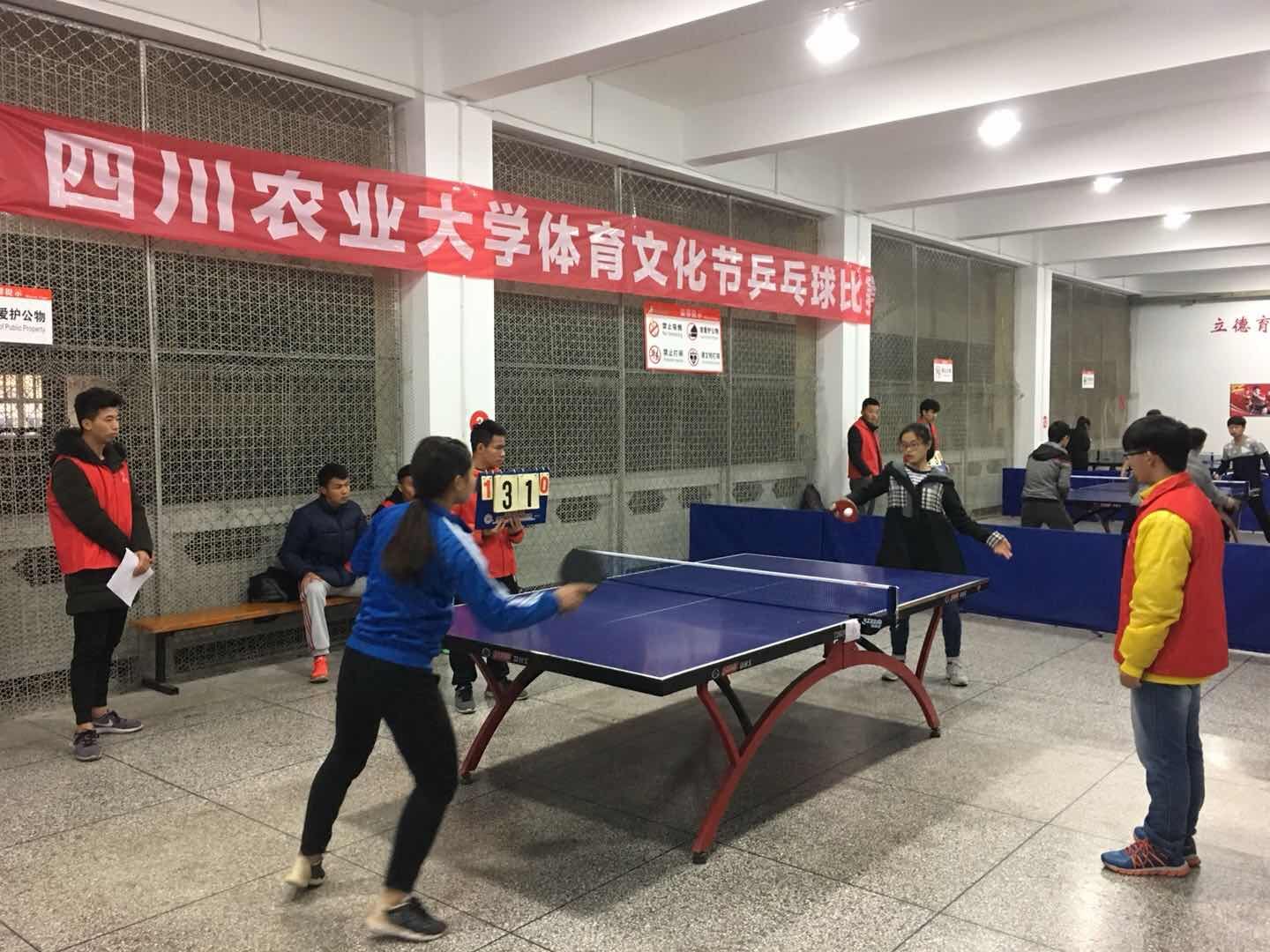 Bevictor伟德欧洲杯图片