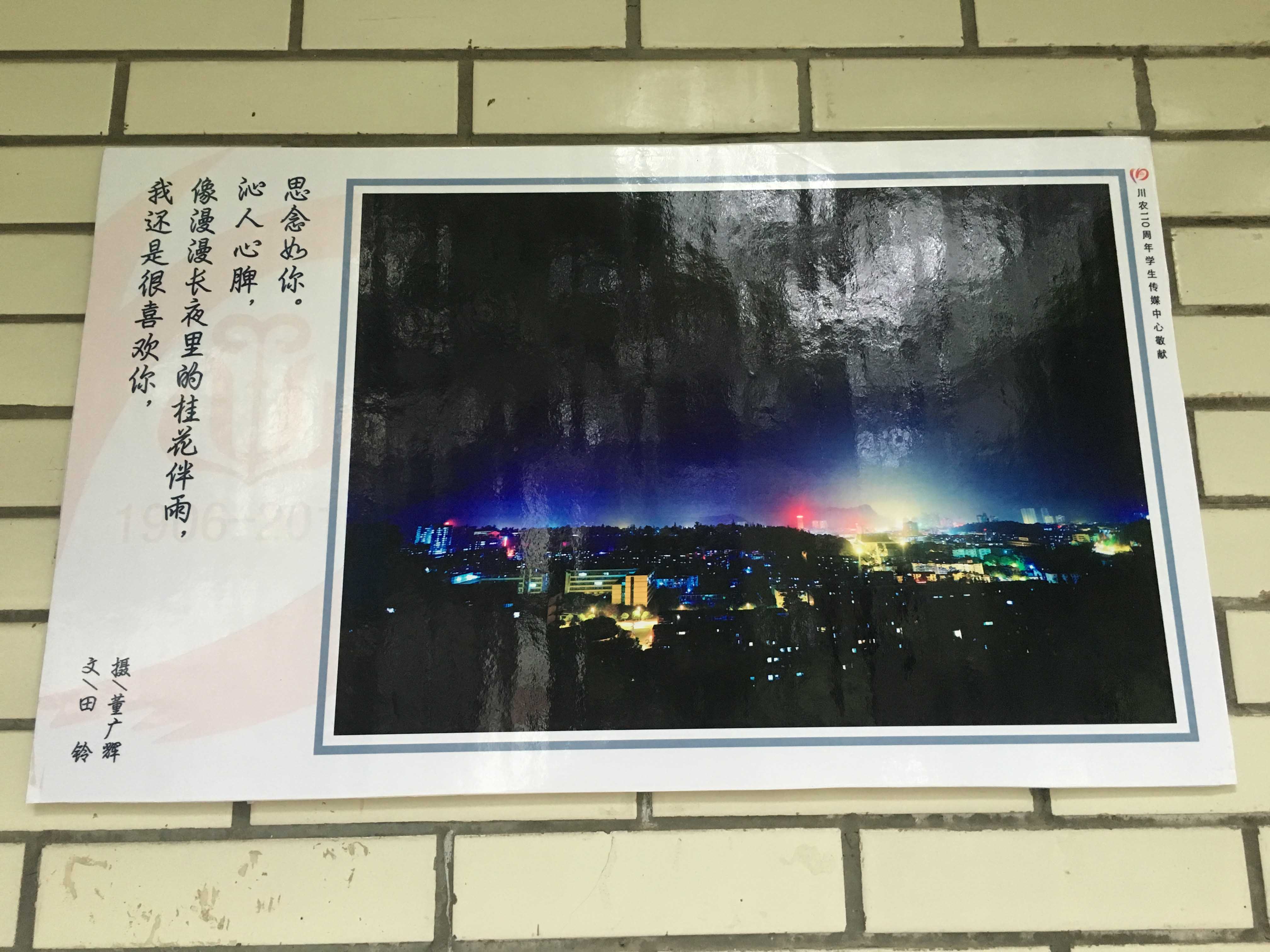 Bevictor伟德指定通道图片
