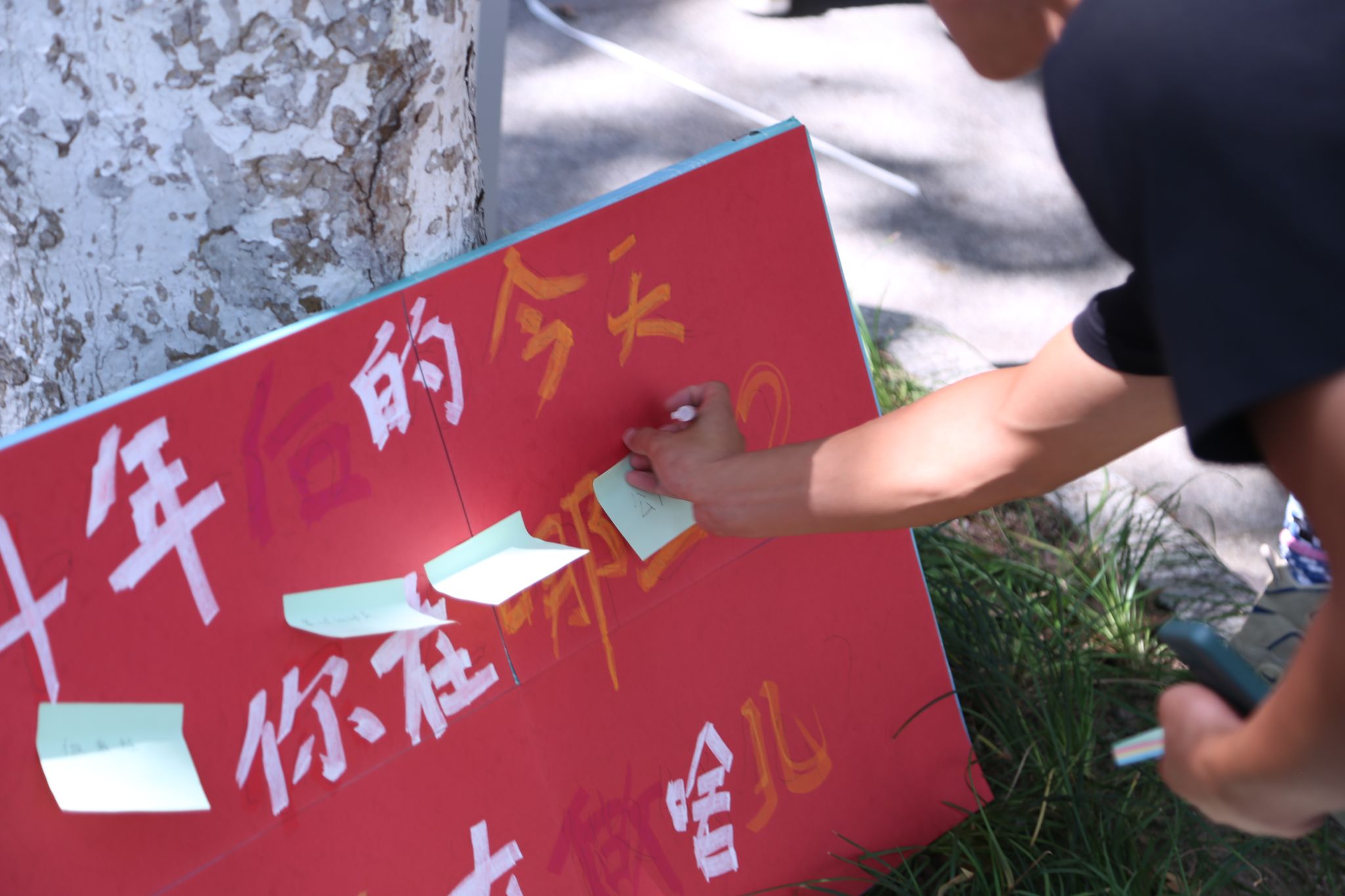 Bevictor伟德欧洲杯
