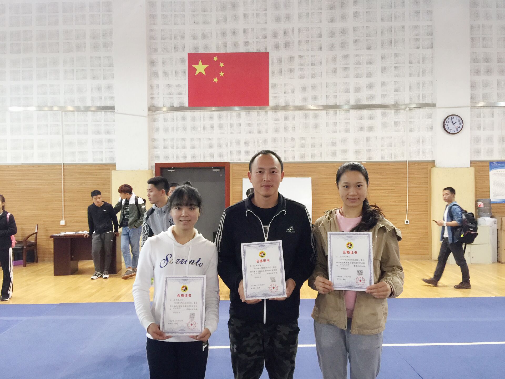 Bevictor伟德欧洲杯图片