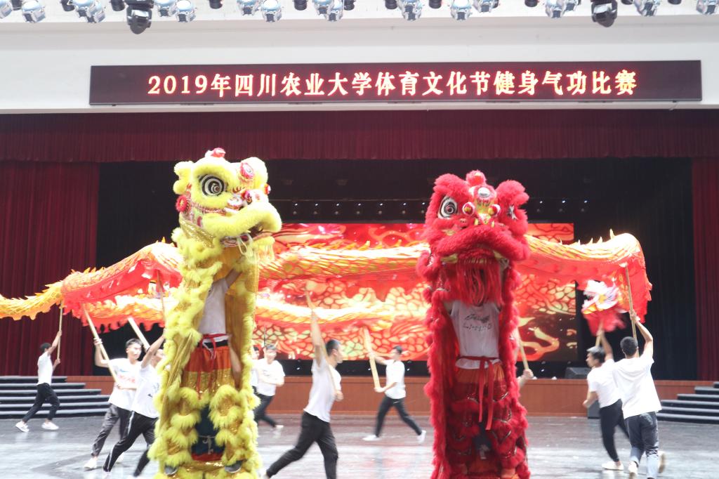 Bevictor伟德欧洲杯