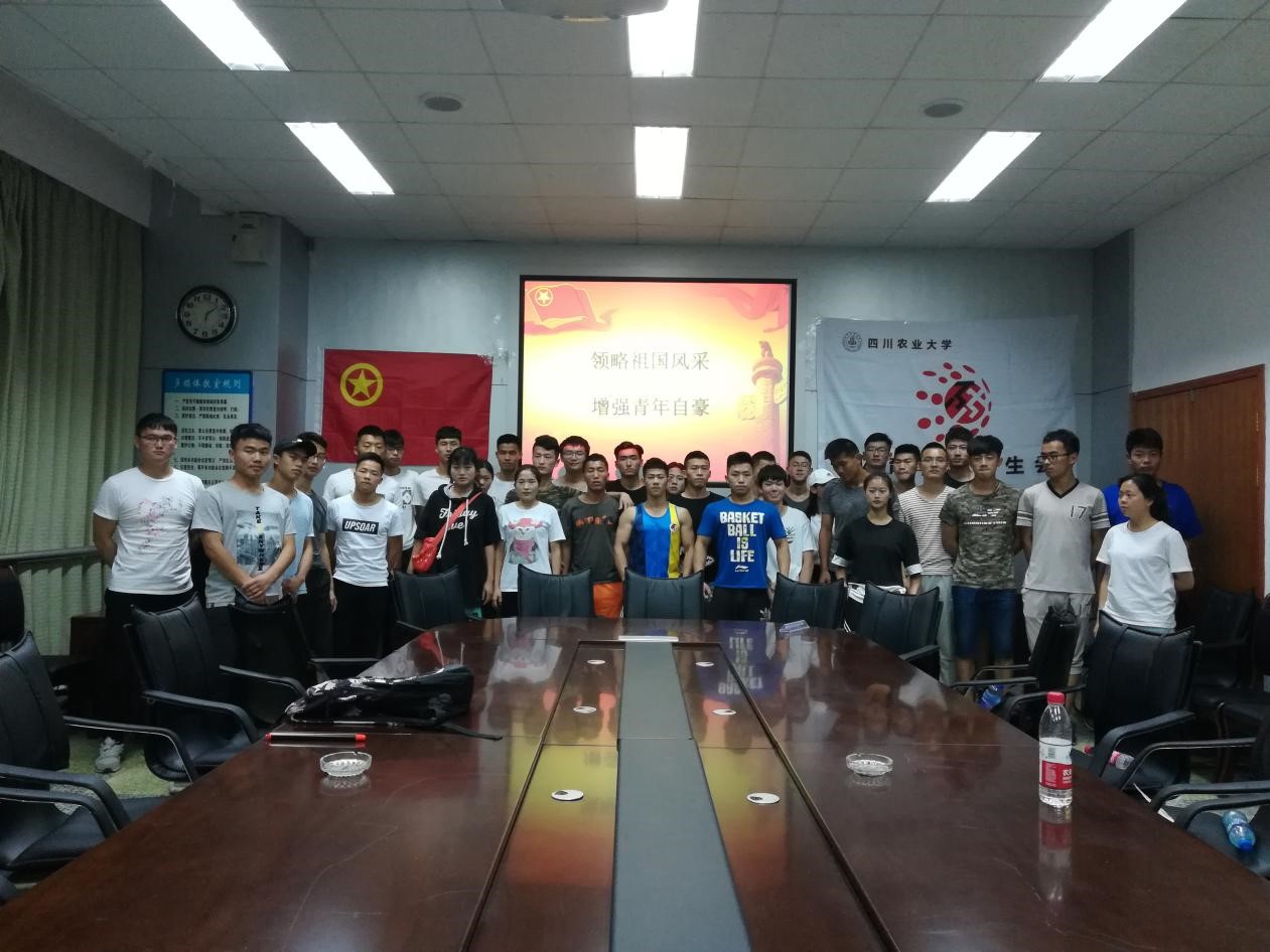 Bevictor伟德欧洲杯图片