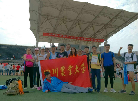 Bevictor伟德欧洲杯图片