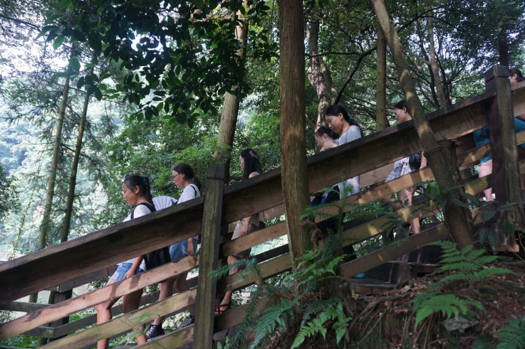 Bevictor伟德欧冠直播图片