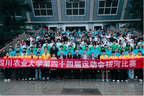 Bevictor伟德欧冠直播