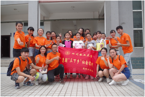 Bevictor伟德官方线路图片