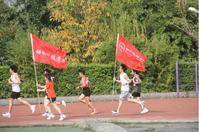 Bevictor伟德赛事资讯平台