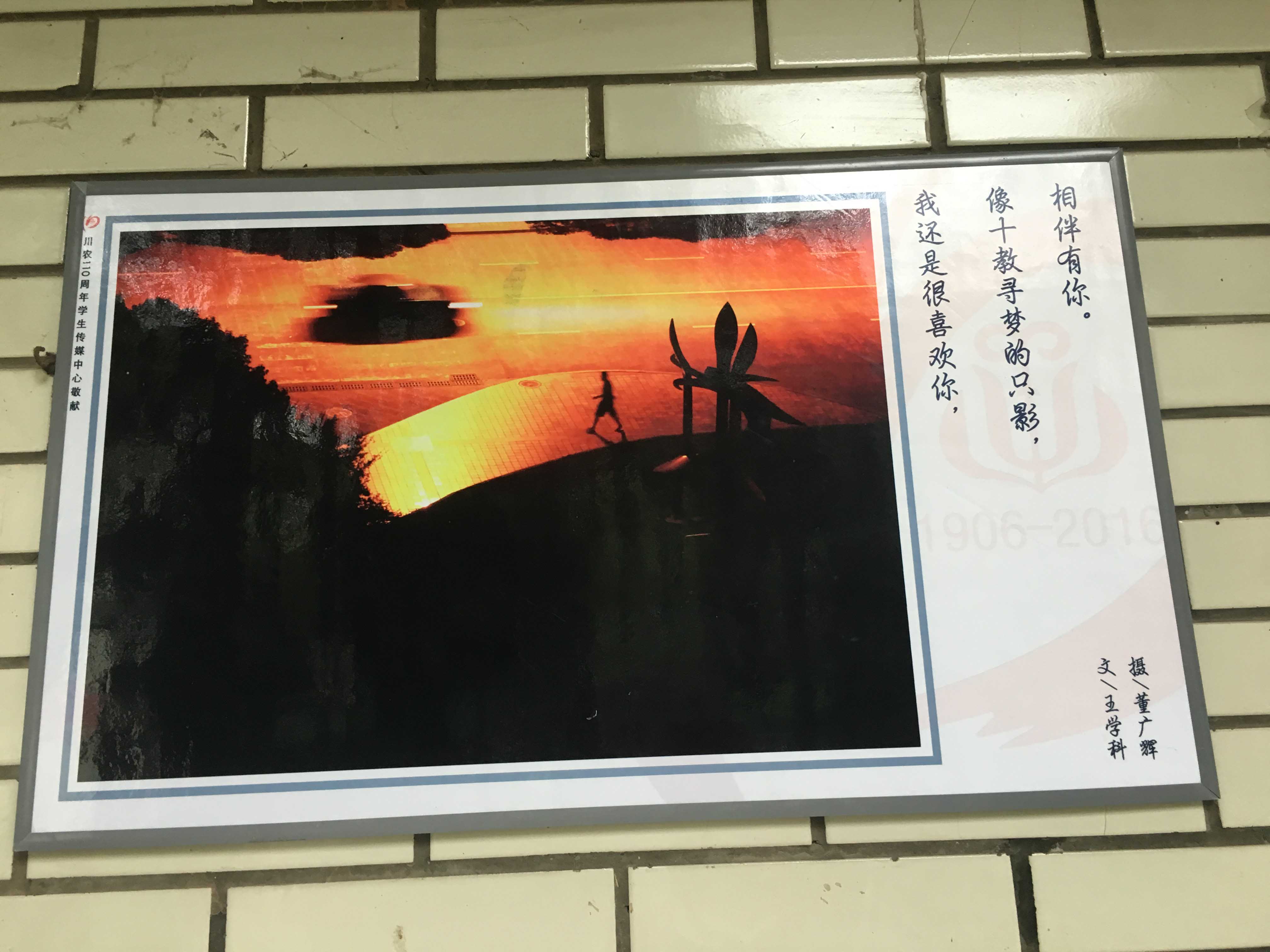Bevictor伟德官方线路图片