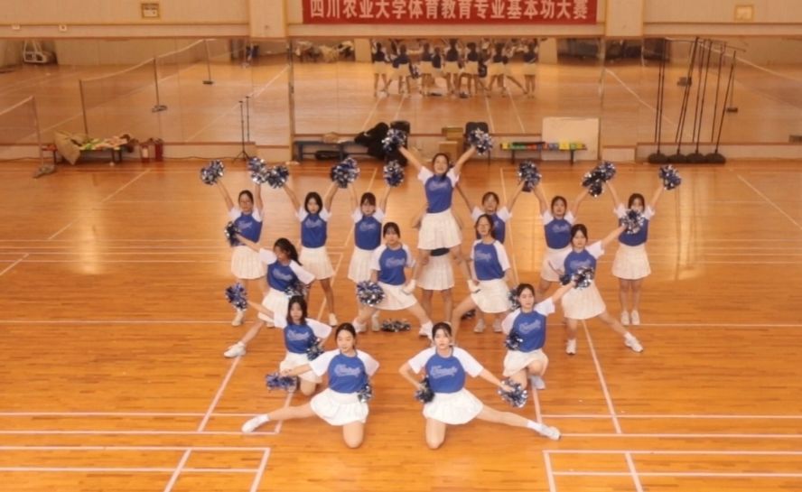 Bevictor伟德平台