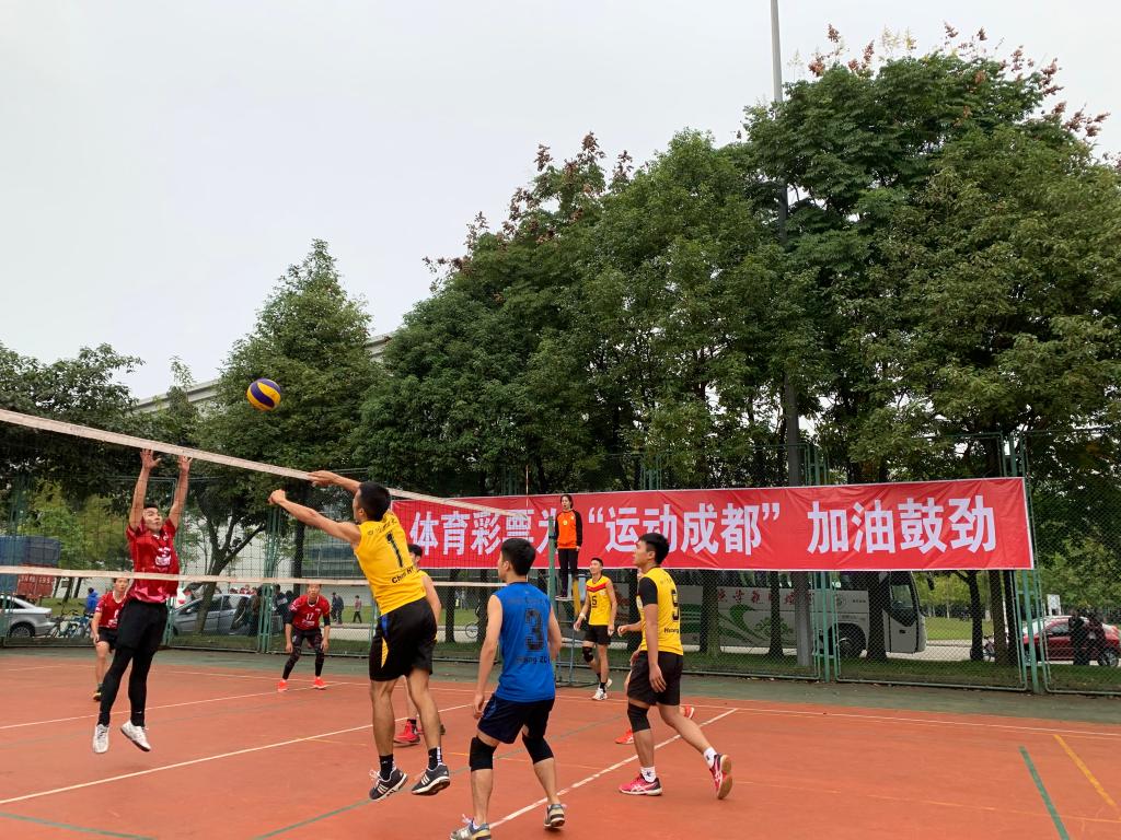 Bevictor伟德手机版
