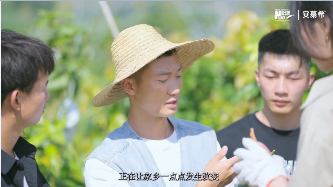 Bevictor伟德官方指定端