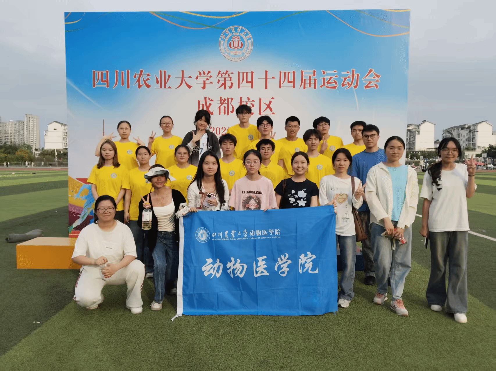 Bevictor伟德备用网址