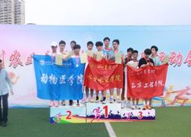 Bevictor伟德官方线路