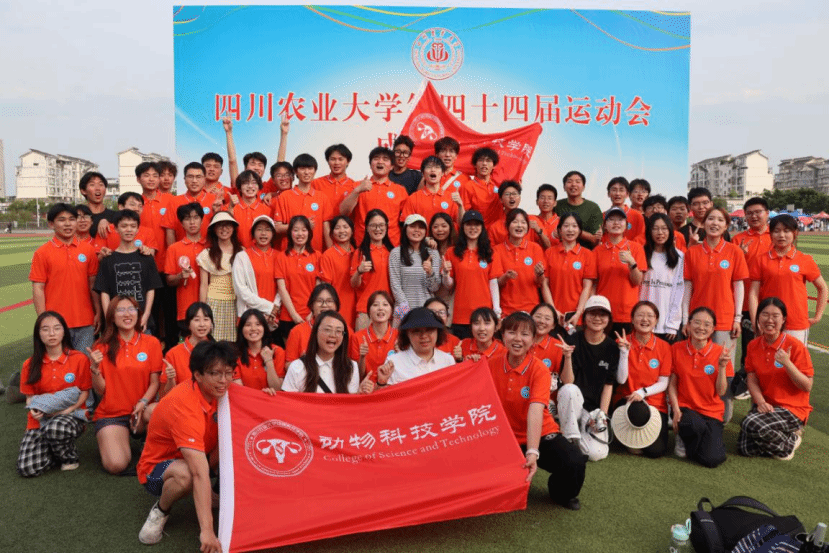 Bevictor伟德官方线路
