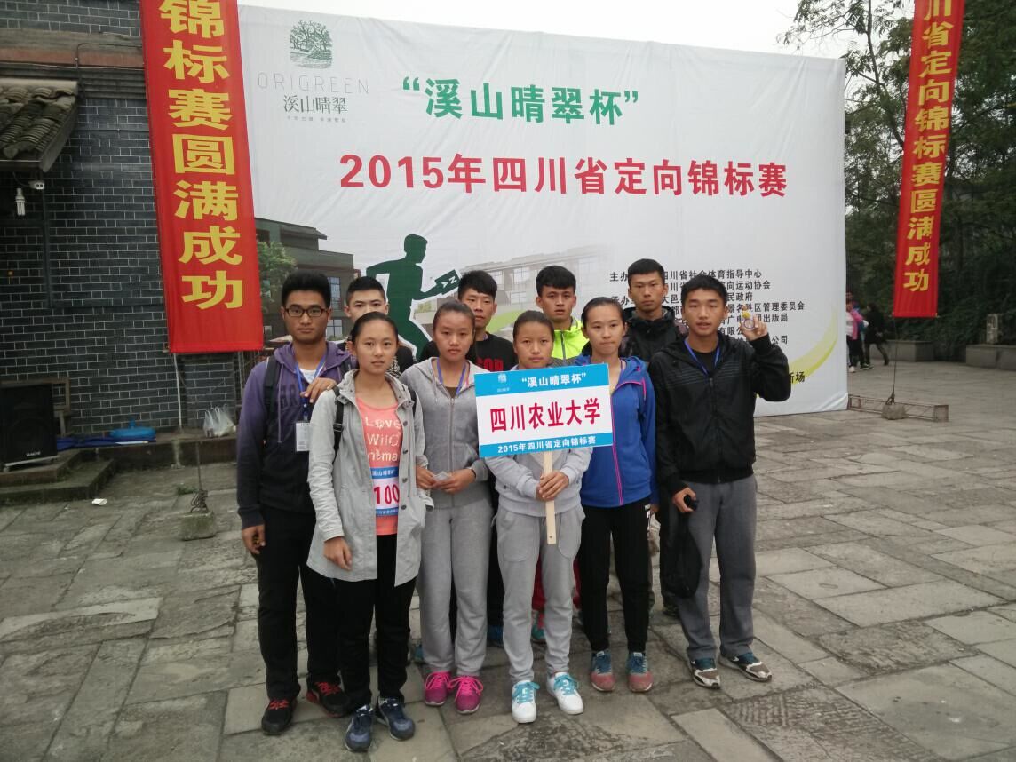 Bevictor伟德核心通道图片