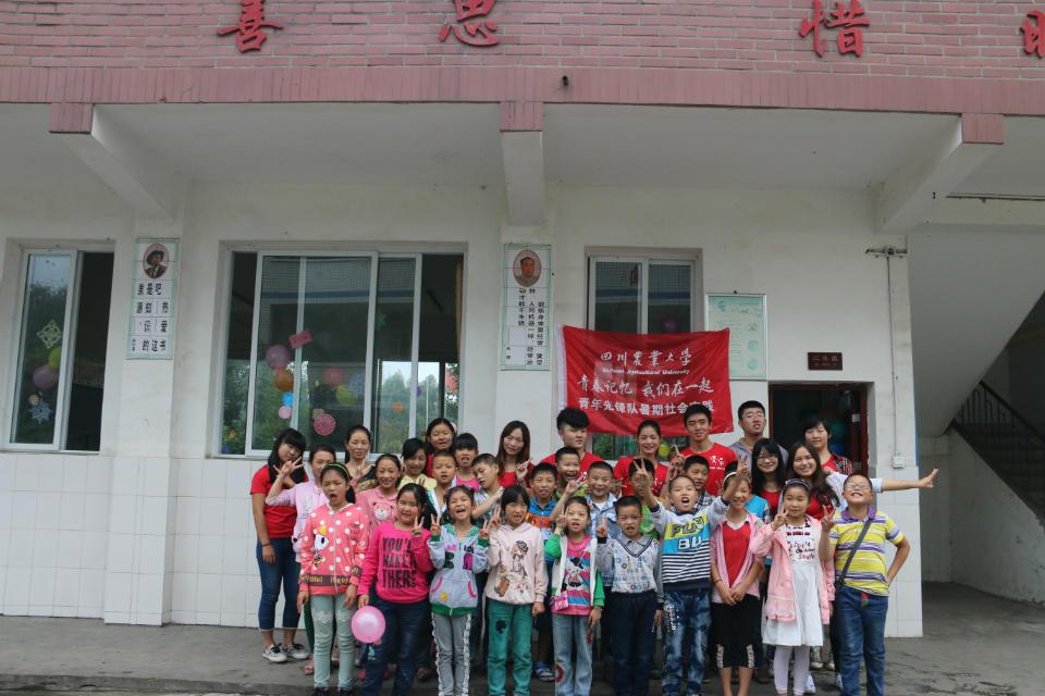 Bevictor伟德欧洲杯图片