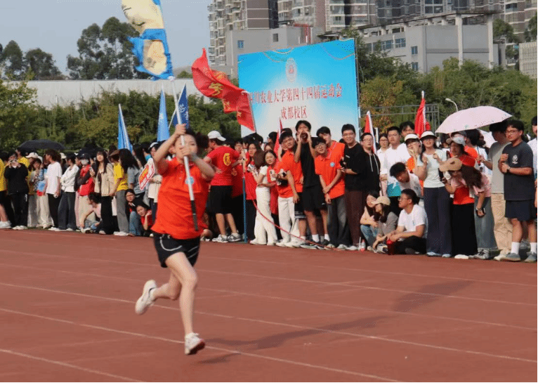 Bevictor伟德平台