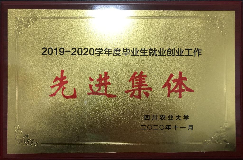 Bevictor伟德官方线路图片