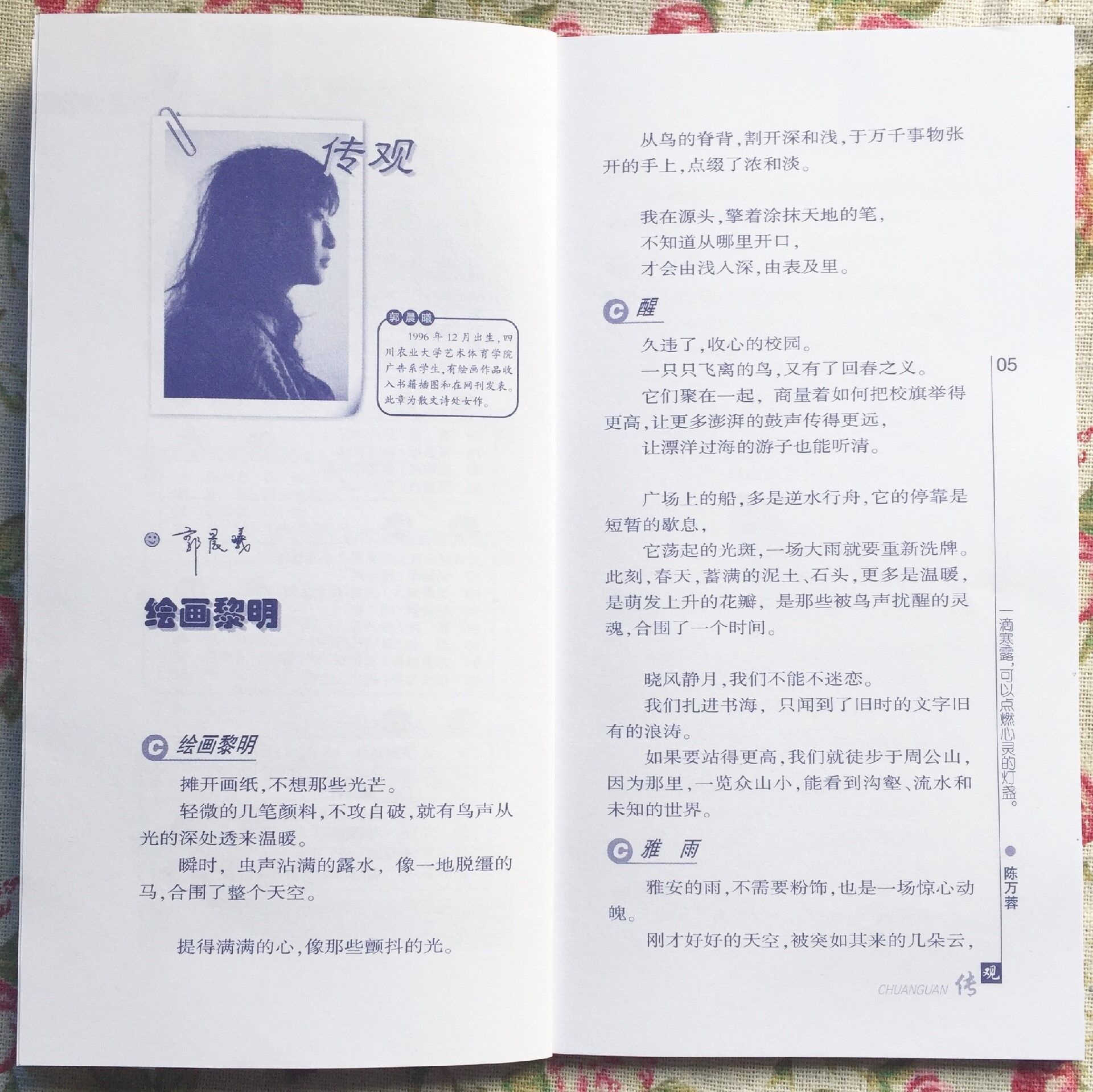 Bevictor伟德欧洲杯图片