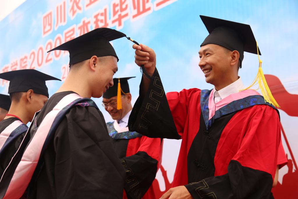 Bevictor伟德官方指定端
