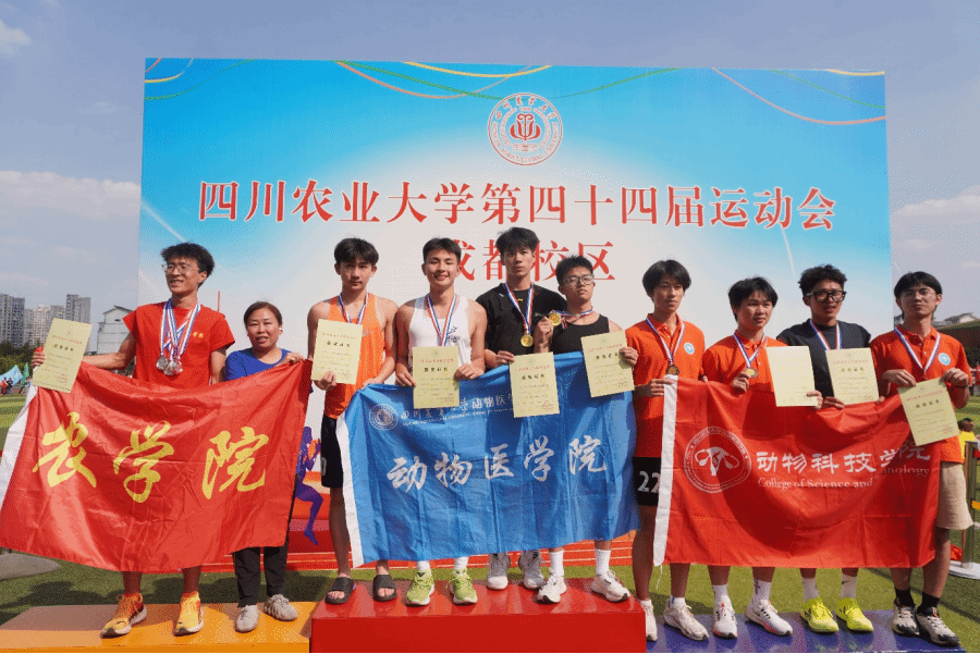 Bevictor伟德欧洲杯