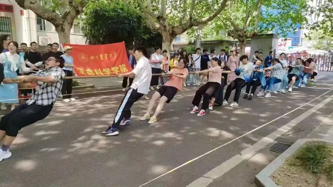 Bevictor伟德官方线路