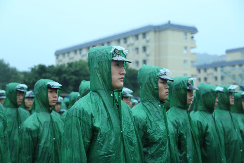 Bevictor伟德备用网址