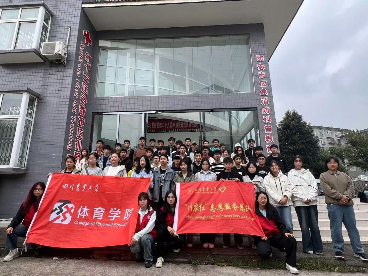 Bevictor伟德手机版