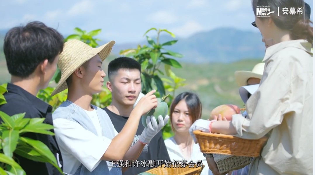 Bevictor伟德指定通道