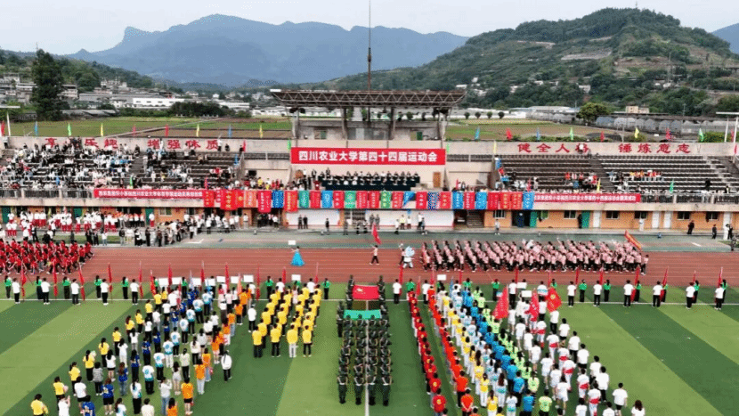 Bevictor伟德安全通道