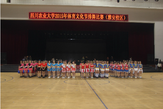 Bevictor伟德核心通道图片