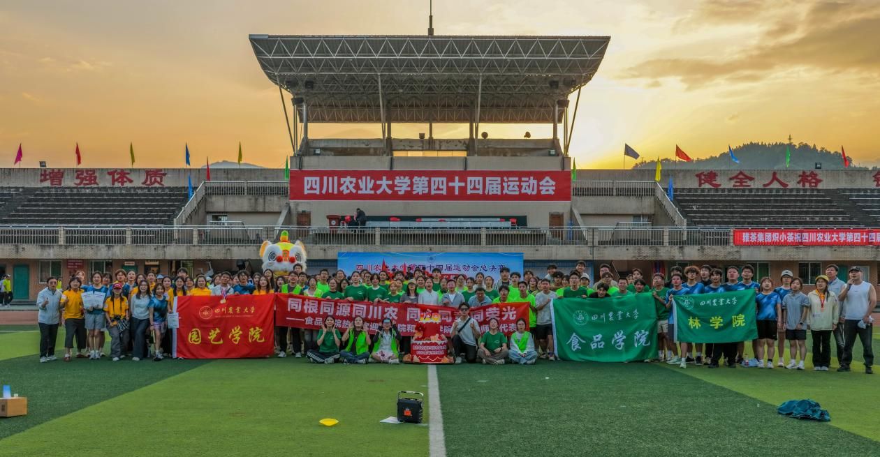 Bevictor伟德备用网址