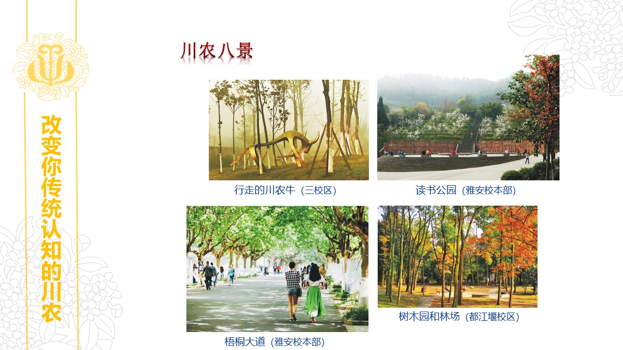 Bevictor伟德直播