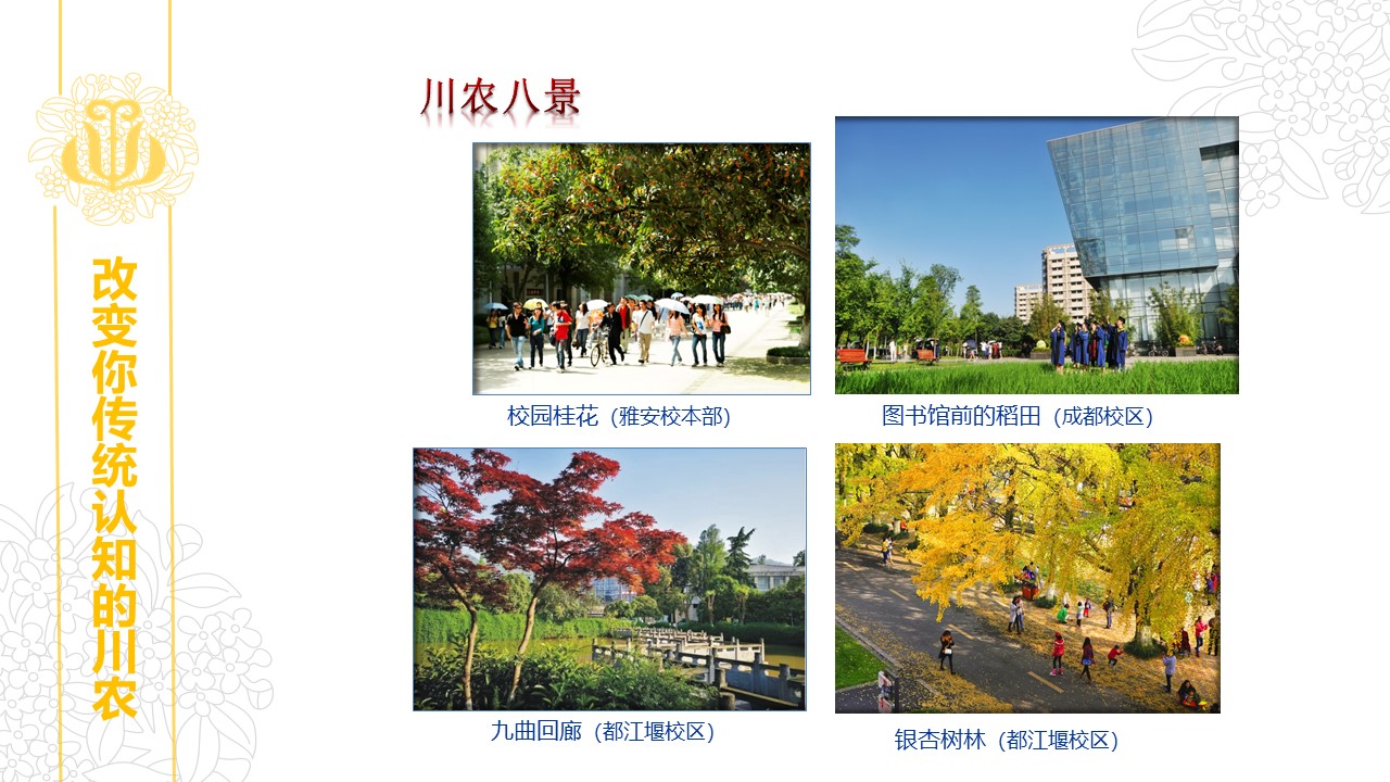 Bevictor伟德官方指定端