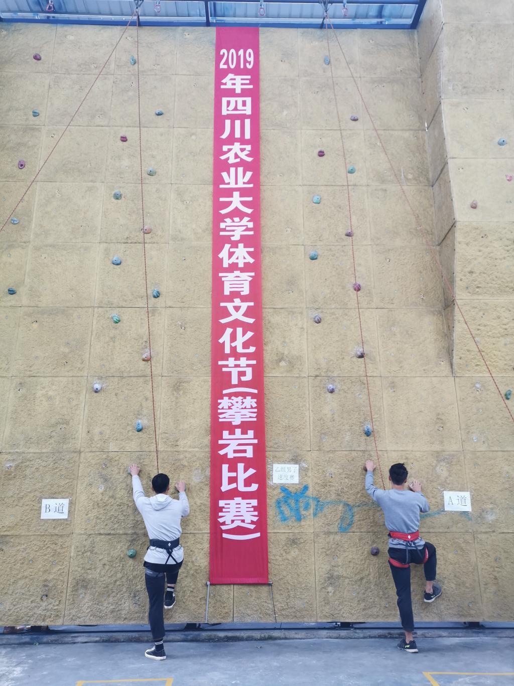 Bevictor伟德手机版