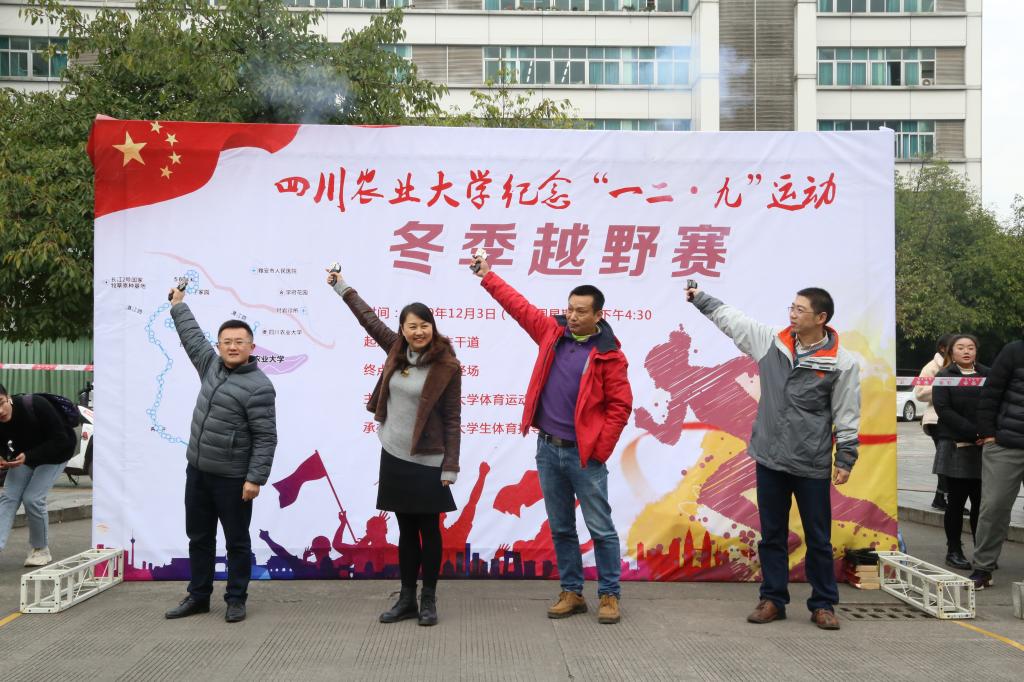 Bevictor伟德手机版