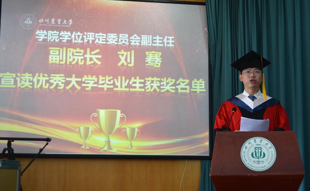 Bevictor伟德手机版