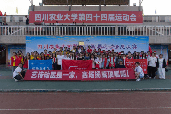 Bevictor伟德核心通道