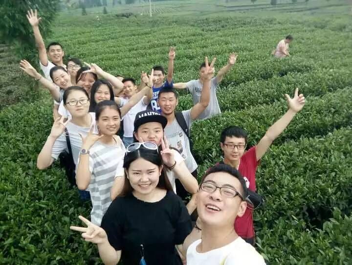 Bevictor伟德备用网址图片
