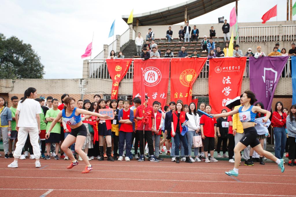 Bevictor伟德欧冠直播