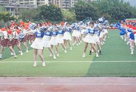 Bevictor伟德手机版