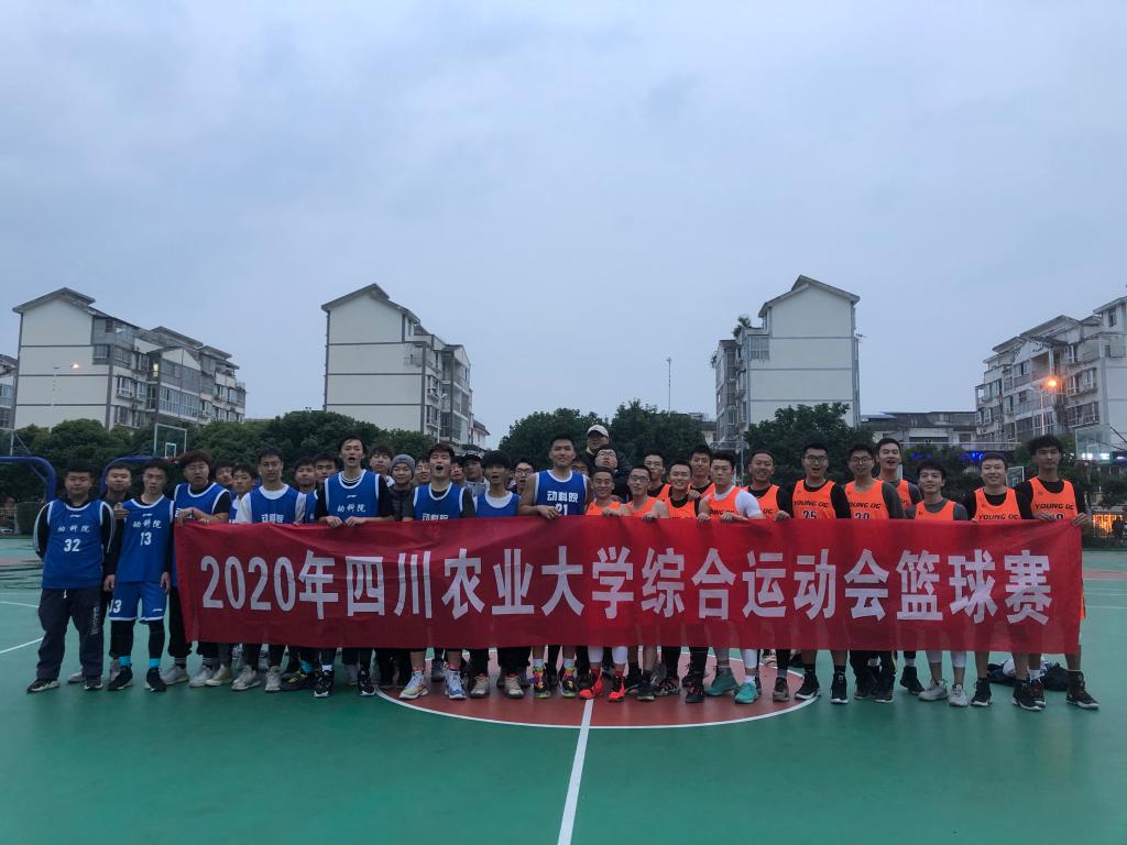 Bevictor伟德互联系统