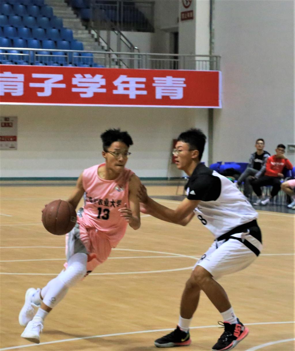 Bevictor伟德欧洲杯