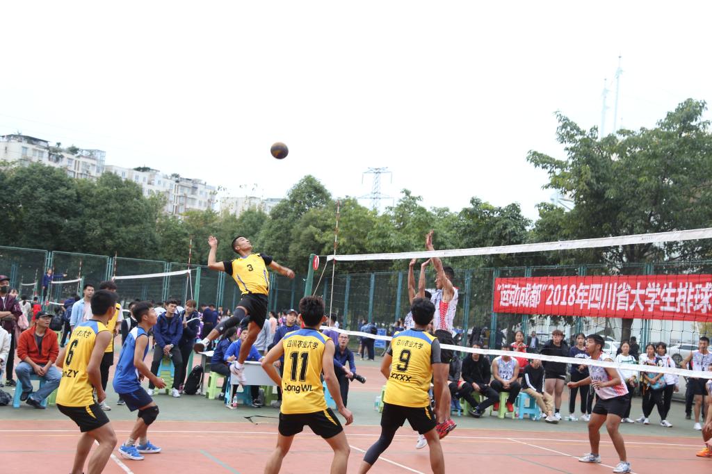 Bevictor伟德手机版