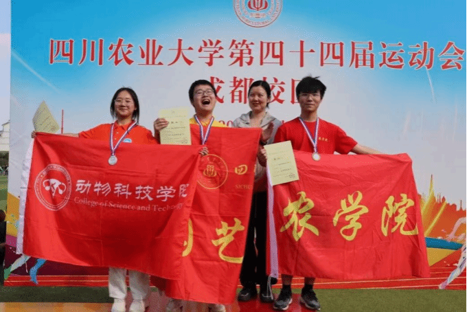 Bevictor伟德备用网址