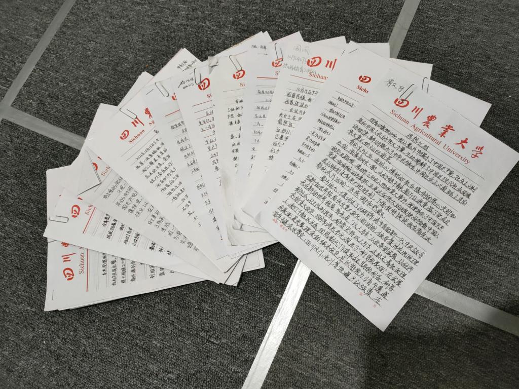 Bevictor伟德互联系统