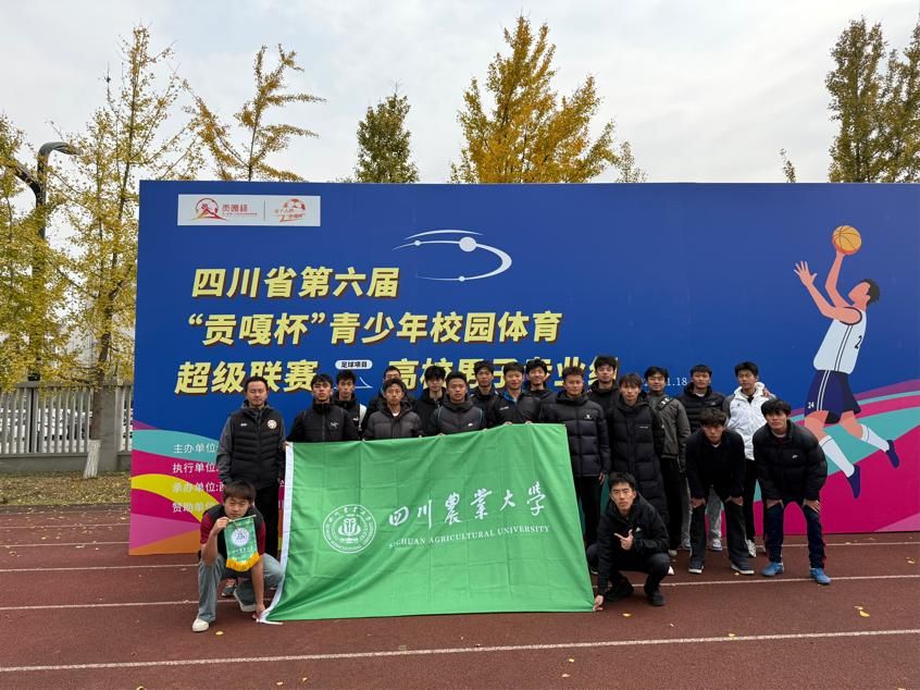 Bevictor伟德备用网址