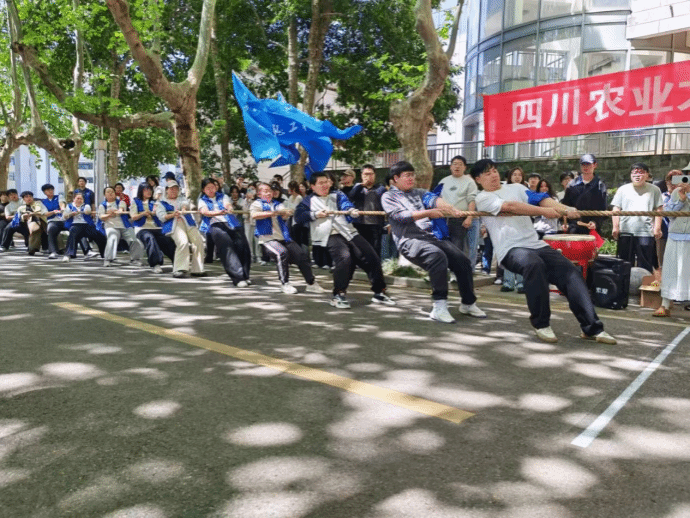 Bevictor伟德稳定线路